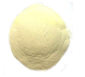 Manufacturers Exporters and Wholesale Suppliers of Fungal Xylanase Surat Gujarat